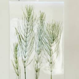 Table Lamp With Dried Horsetail Contemporary Modern Scandinavian Accent Lamp, Rustic Lamps For Tables, Night Light Nursery - thumbnail 3