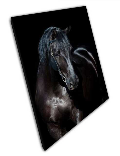 Elegant Black Horse Wall Art Print Large-Scale Animal Portrait For Home & Office Decor - image 1