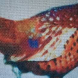 Pheasant On A Cushion Cover Hessian Style Covercanvass/Linen Feel - thumbnail 3