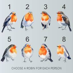 Personalised Robin Bird Family Print, Custom Gift, Animal Elephant Art Mothers Day Birthday Gift - thumbnail 3