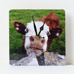 Cow Desk Clock - Decoupage Photo Brown Calf Farm Animal & White - thumbnail 2