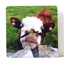 Cow Desk Clock - Decoupage Photo Brown Calf Farm Animal & White - thumbnail 3
