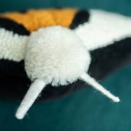 Pillow Moth Haploa Punchneedle Embroidery, Livingroom Decor Pillow, Cushion Bug Inspired By Nature - thumbnail 3