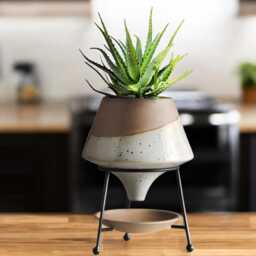 Modern Ceramic Plant Pot With Drip Tray & Iron Stand