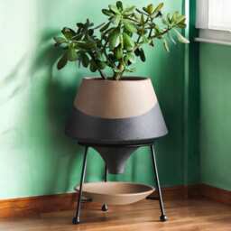Modern Ceramic Plant Pot With Drip Tray & Iron Stand - thumbnail 2