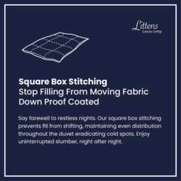 Goose Feather Down Duvet 230Tc Cotton Casing, Thermal Quilt - thumbnail 4