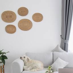 Woven Rattan Oval Wall Decor Set - Boho Basket Art - thumbnail 2