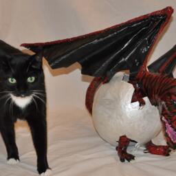 Hatching Red & Black Dragon - thumbnail 4