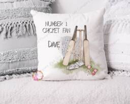 Cricket Cushion, Pillow, Gift, Cricketer Gift, Gift For Him, Lover, Cricketer, Male Gift - thumbnail 1