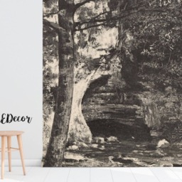 Dark Classic Forest Wall Mural, Peel & Stick, Removable Wallpaper, Covering, Nature, Nursery Decor #88 - thumbnail 2