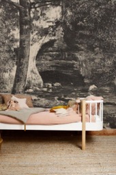 Dark Classic Forest Wall Mural, Peel & Stick, Removable Wallpaper, Covering, Nature, Nursery Decor #88