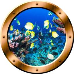 Underwater Fish 3D Porthole Vinyl Scenery Decal Family Wall Art Window Bronze Portal Home Decor - Vwaq Bp16 - thumbnail 2