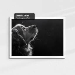 Golden Retriever Dog Pet Stencil Style Fine Art Painting Framed Poster Print & Canvas Wall Living Home Decor Interior Gift - thumbnail 3