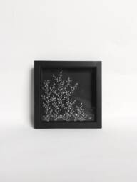 Glass Art - Hand Engraved Flower Engraving Carving Gypsophila Baby's Breath - thumbnail 1