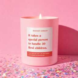 Funny Teacher Appreciation Gift Candle It Takes A Special Person To Handle 30 Feral Children - thumbnail 1