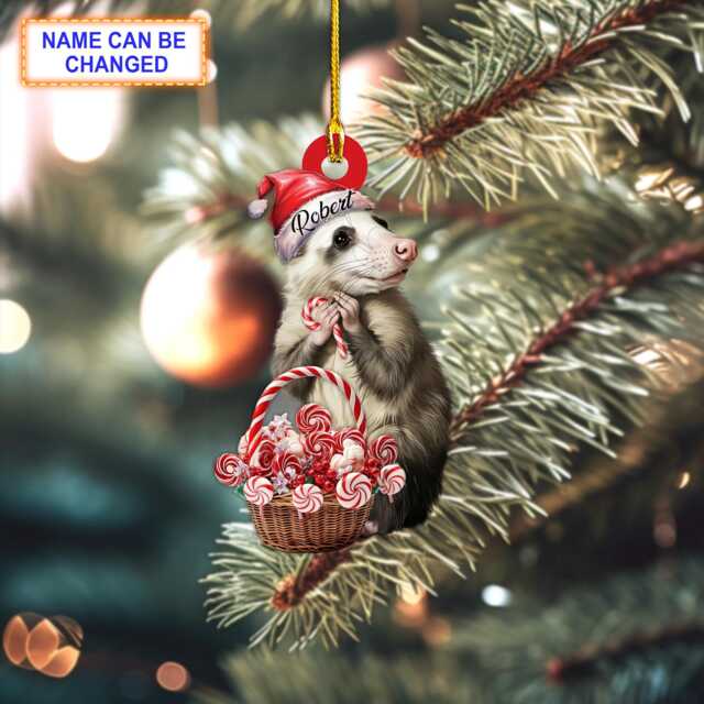 Custom Name Candy Cane Opossum Personalized Ornament, Christmas Tree Decor, Flat 2D Funny Animal Ornament - image 1