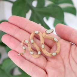 Ceramic Snake, Baby By Carter + Rose - thumbnail 4