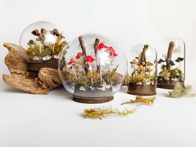 Mushroom Terrarium, Magic Mushrooms in Glass Cloche - image 1