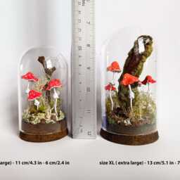 Mushroom Terrarium, Magic Mushrooms in Glass Cloche - thumbnail 3