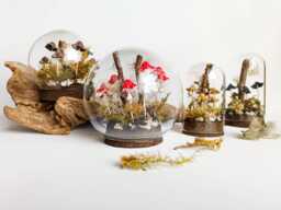 Mushroom Terrarium, Magic Mushrooms in Glass Cloche