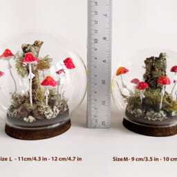 Mushroom Terrarium, Magic Mushrooms in Glass Cloche - thumbnail 2