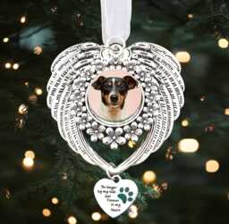 Personalised Dog Cat Pet Memorial Gift Christmas Tree Decoration Bauble , Loss Lover, Gift, Keepsake - thumbnail 1