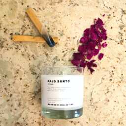Palo Santo Candle - All Natural Coconut-Soy Wax Ginger Wood + Palo Santo Rose