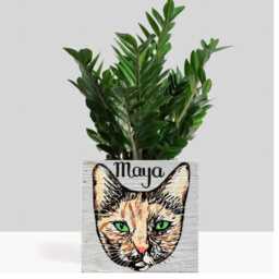 Custom Cat Portrait Planter Personalized Pet Mom, Dad, Mother's Day Gift - thumbnail 1