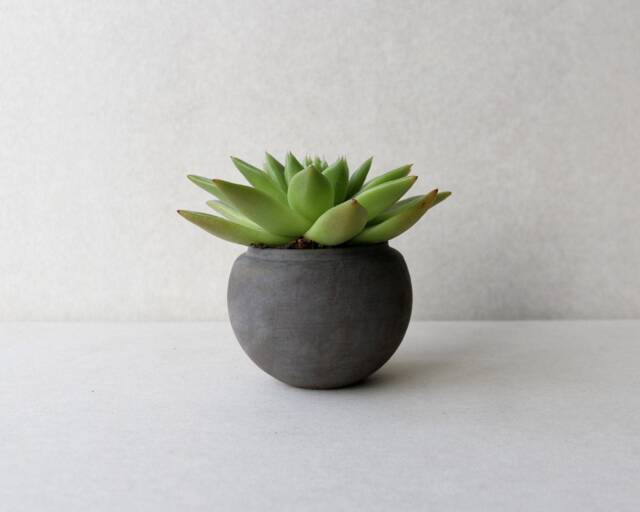 Dark Grey Sphere Concrete Planter - Handmade Succulent Pot - image 1