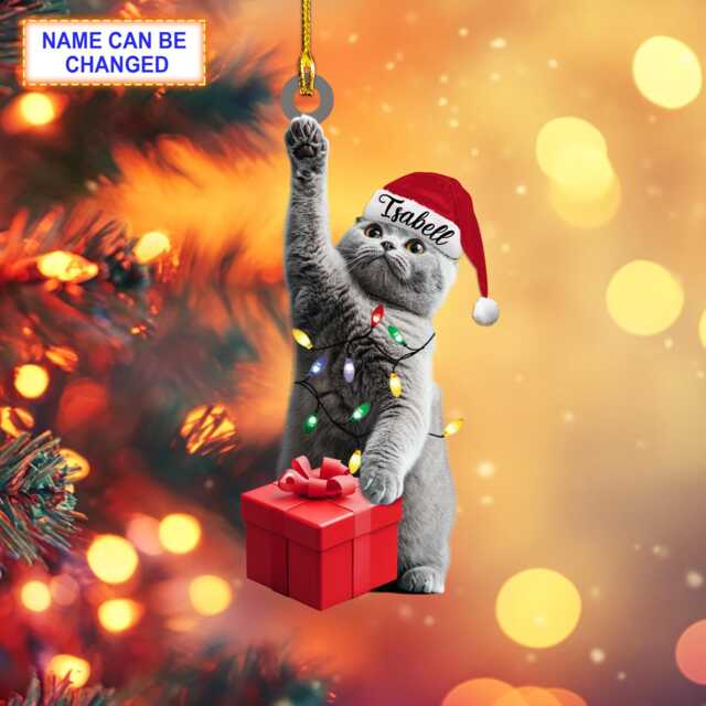 Custom Name British Shorthair Cat With Santa Hat & Christmas Lights, Tree Hanging Decor, Ornament, Flat 2D Ornament - image 1