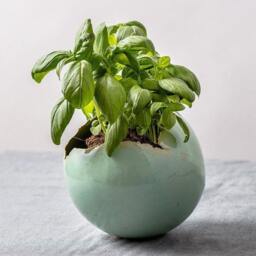 x-Large Green Ceramic Planter, Vase For Flowers, Home Decoration With A Drainage Hole & Saucer - thumbnail 3