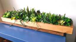 Faux Succulent Planter Artificial Foliage Wood Centrepiece, Modern Decor