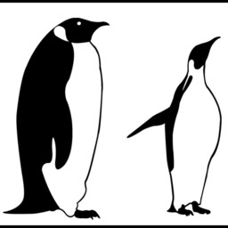 Penguin Wall Decal Arctic Animal Stickers, Kids Room Decor - thumbnail 2
