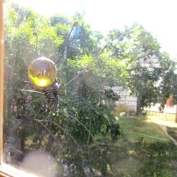 Forest Green Sun Catcher Window Spider Hanging Art, Made To Order - thumbnail 2