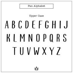 Childrens Wall Art Name Sign All Capitals Custom Decor Nursery Playroom Plaque - Pan Font - thumbnail 3