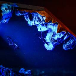 Octopus & Diver Night Light, Resin Lamp, Ocean Diorama Epoxy Art, Under The Sea Home Decor, Handmade Gift - thumbnail 3