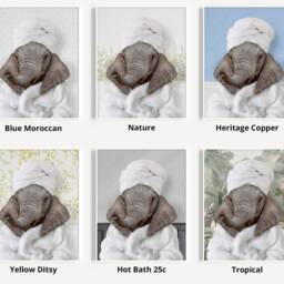 Baby Elephant in A Bathrobe Print, Bathing, Funny Bathroom Animal Towel On Head, Bath Robe, Whimsy - thumbnail 3