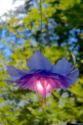 Pendant Lamp Hand-Made & Hand-Painted 56 Petals Pink Purple Flower