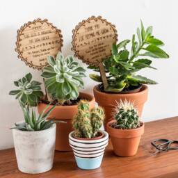 Teacher Thank You Gift, End Of Year Gift For Teacher, Plant Pot Topper, Thank Helping Me Grow, Term Teacher - thumbnail 1