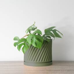 "Penelope Planter With Drainage & Saucer in Army Green, Unique 3D-Printed Plant Pot, Small To Large Sizes 4"" 5"" 6"" 7"" 8" - thumbnail 4