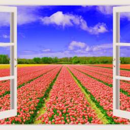 3D Window Flowers Decal, Frame, Wall Decor, Flower Decals, Vinyl Stickers, Peel & Stick Vinyl W198 - thumbnail 2
