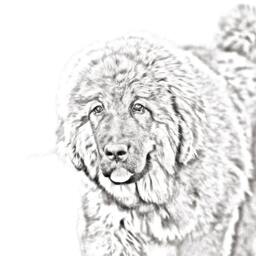 Tibetan Mastiff - Wooden Stand For Candles/Pens With The Image Of A Dog New Collection - thumbnail 2