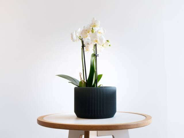 Blue Indoor Wood Planter - Praha Perfect Gift For Plant Lovers - image 1