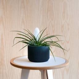 Blue Indoor Wood Planter - Praha Perfect Gift For Plant Lovers - thumbnail 3