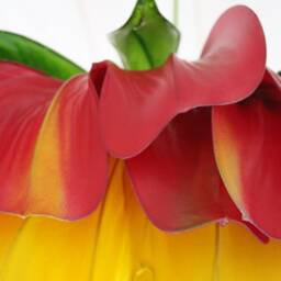 Pink Magenta Yellow Ceiling L Pendant Lamp Pivoine Chandelier Lighting - thumbnail 4