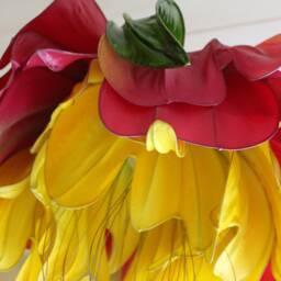 Pink Magenta Yellow Ceiling L Pendant Lamp Pivoine Chandelier Lighting - thumbnail 3