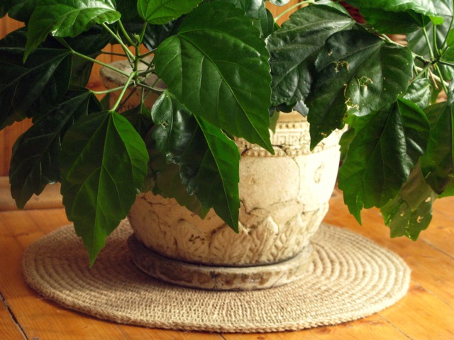 18 in Crochet Jute Circle Rug/Plant Rug 100% Natural Materials Indoor Outdoor Mat Custom Sizes - image 1