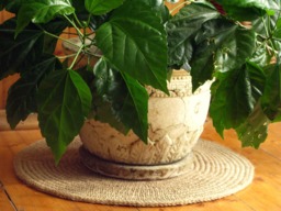 18 in Crochet Jute Circle Rug/Plant Rug 100% Natural Materials Indoor Outdoor Mat Custom Sizes - thumbnail 1
