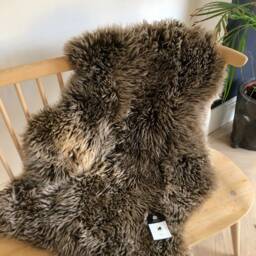 Two Tone Sheepskin Rug, Rugs , Brown With Dark Tip, Tipped Sheepskin, Luxury Fluff - thumbnail 4