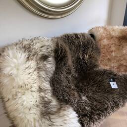 Two Tone Sheepskin Rug, Rugs , Brown With Dark Tip, Tipped Sheepskin, Luxury Fluff - thumbnail 2